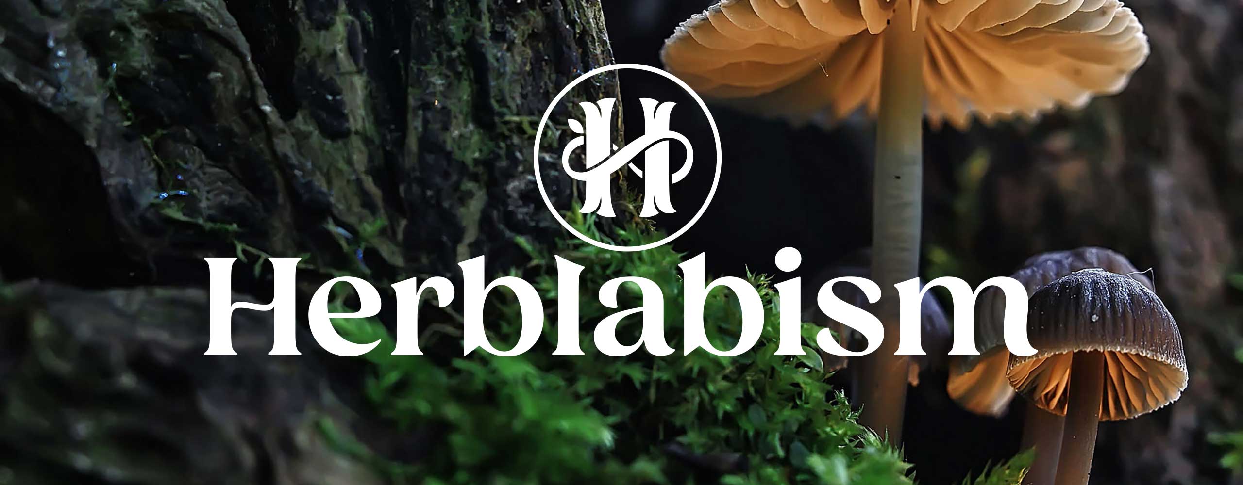 Herblabism Wordmark and Monogram by Dan Forster - hero image